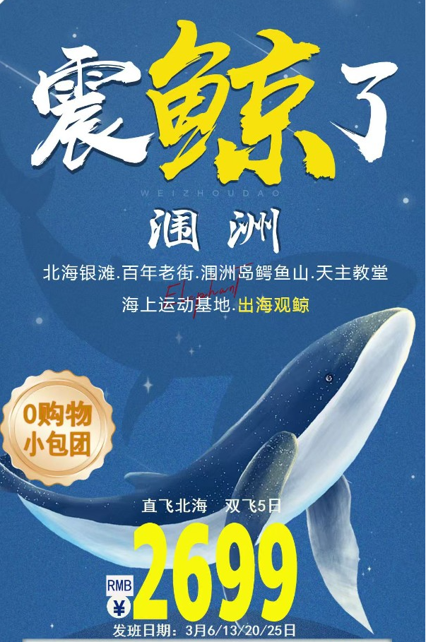 震“鲸”涠洲岛双飞5日游