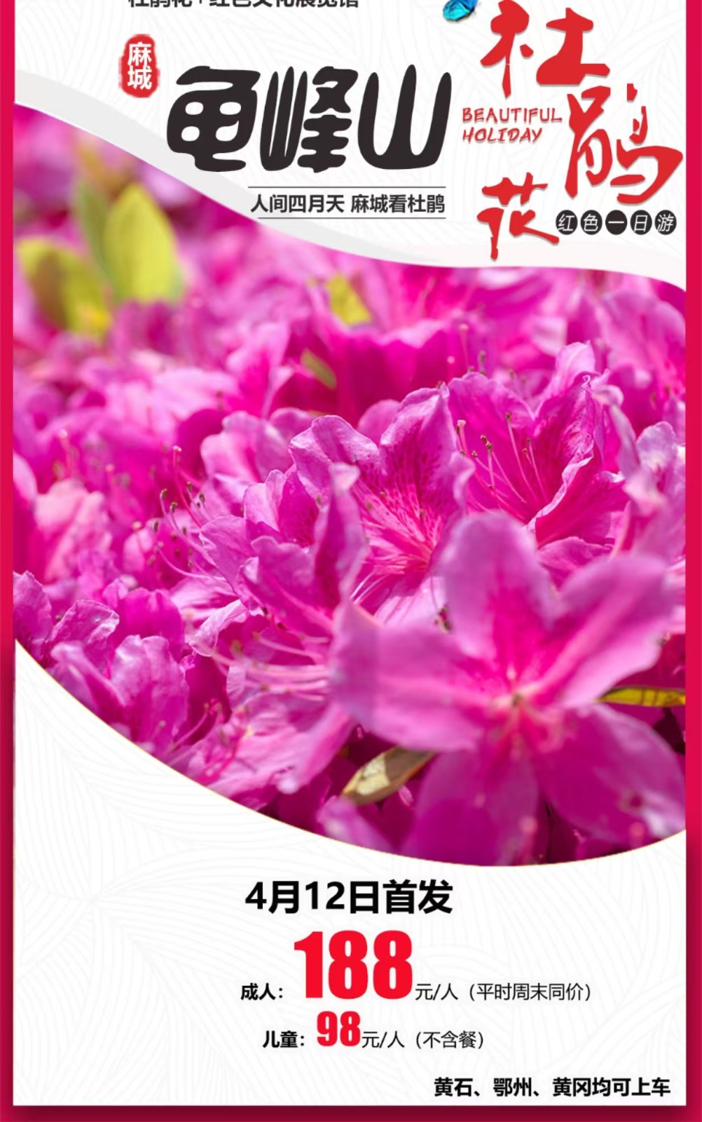 龟峰山杜鹃花